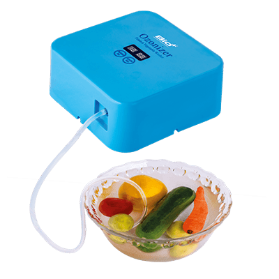 Ozonizer