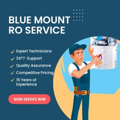 Blue Mount RO Service