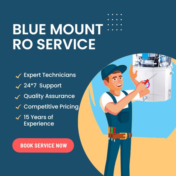 Blue Mount RO Service